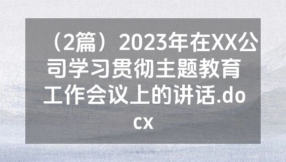 （2篇）2023年在XX公司学习贯彻主题教育工作会议上的讲话.docx