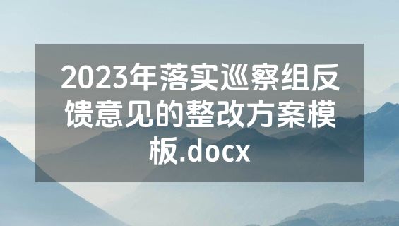 2023年落实巡察组反馈意见的整改方案模板.docx