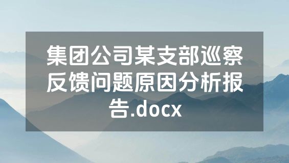 集团公司某支部巡察反馈问题原因分析报告.docx