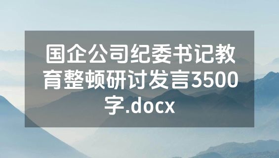 国企公司纪委书记教育整顿研讨发言3500字.docx
