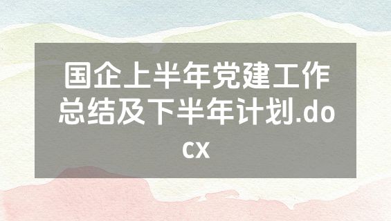国企上半年党建工作总结及下半年计划.docx