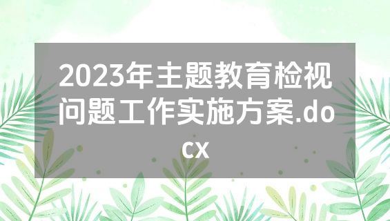 2023年主题教育检视问题工作实施方案.docx