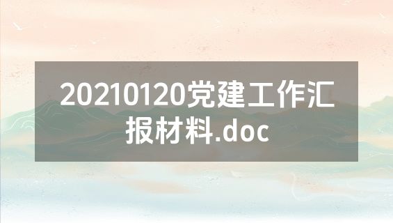 20210120党建工作汇报材料.doc