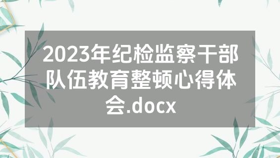 2023年纪检监察干部队伍教育整顿心得体会.docx
