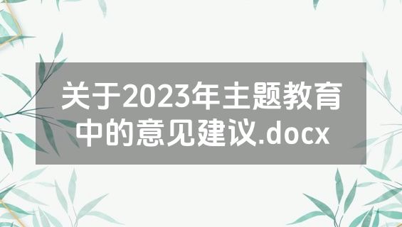 关于2023年主题教育中的意见建议.docx