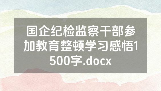 国企纪检监察干部参加教育整顿学习感悟1500字.docx