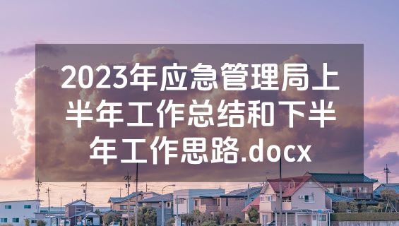 2023年应急管理局上半年工作总结和下半年工作思路.docx