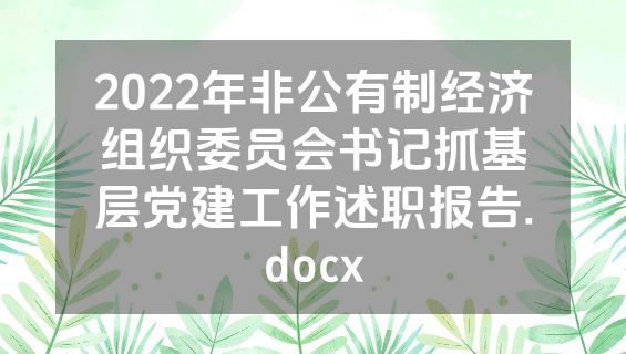 2022年非公有制经济组织委员会书记抓基层党建工作述职报告.docx