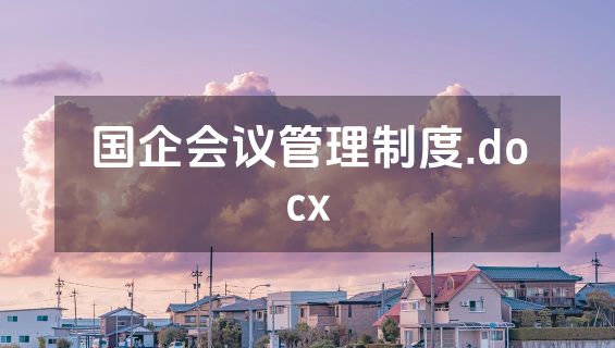 国企会议管理制度.docx