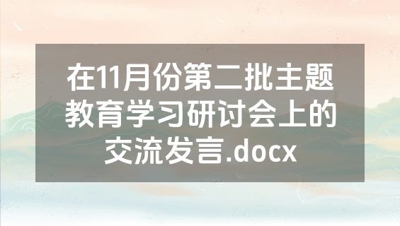 在11月份第二批主题教育学习研讨会上的交流发言.docx