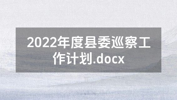 2022年度县委巡察工作计划.docx