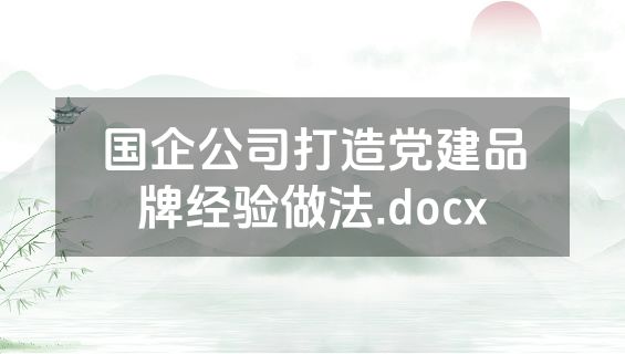 国企公司打造党建品牌经验做法.docx