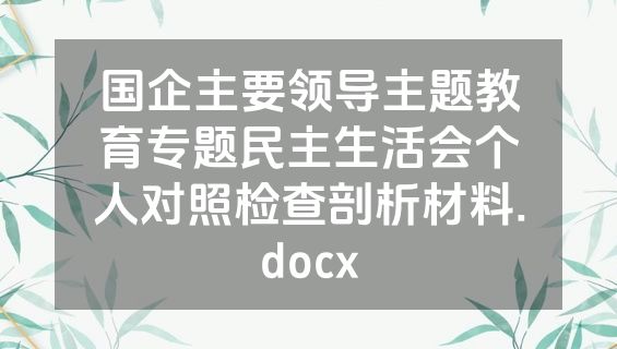 国企主要领导主题教育专题民主生活会个人对照检查剖析材料.docx