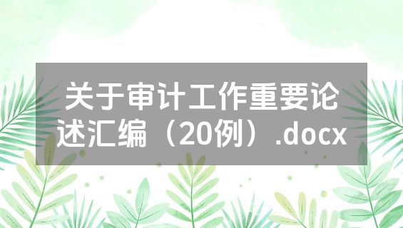 关于审计工作重要论述汇编（20例）.docx