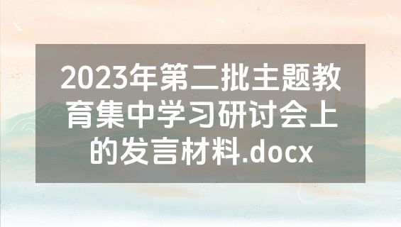 2023年第二批主题教育集中学习研讨会上的发言材料.docx