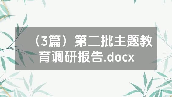 （3篇）第二批主题教育调研报告.docx