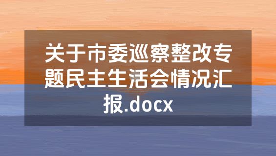 关于市委巡察整改专题民主生活会情况汇报.docx
