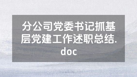 分公司党委书记抓基层党建工作述职总结.doc