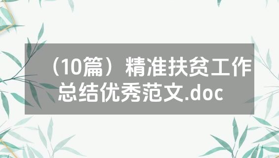 （10篇）精准扶贫工作总结优秀范文.doc