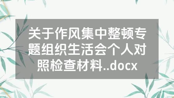 关于作风集中整顿专题组织生活会个人对照检查材料..docx