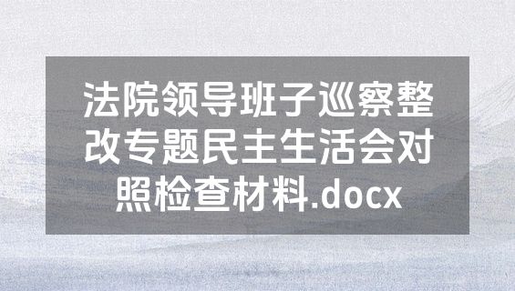 法院领导班子巡察整改专题民主生活会对照检查材料.docx
