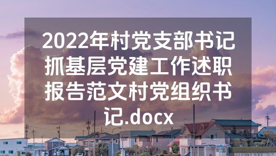 2022年村党支部书记抓基层党建工作述职报告范文村党组织书记.docx
