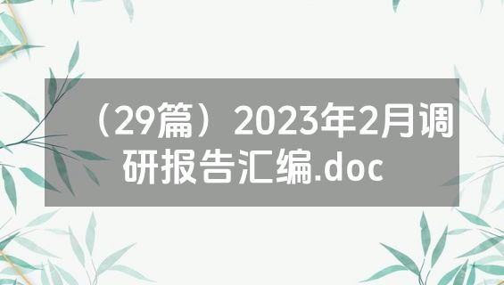 （29篇）2023年2月调研报告汇编.doc