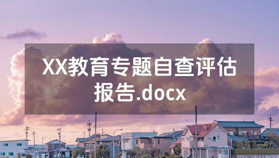 XX教育专题自查评估报告.docx