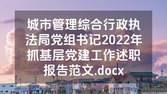 城市管理综合行政执法局党组书记2022年抓基层党建工作述职报告范文.docx