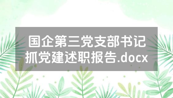 国企第三党支部书记抓党建述职报告.docx