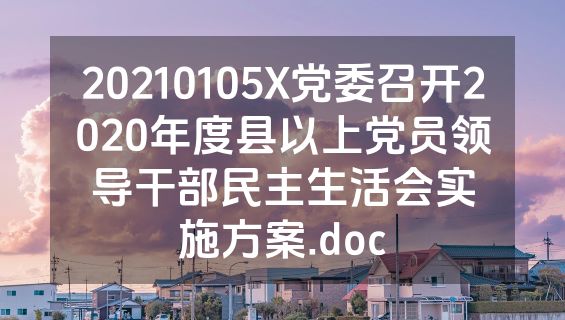 20210105X党委召开2020年度县以上党员领导干部民主生活会实施方案.doc