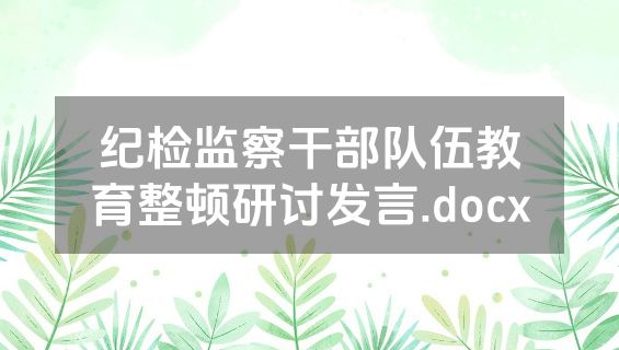 纪检监察干部队伍教育整顿研讨发言.docx