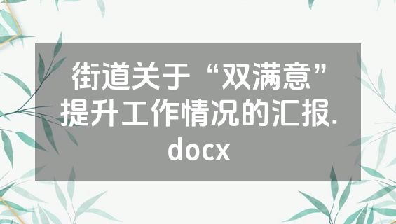 街道关于“双满意”提升工作情况的汇报.docx