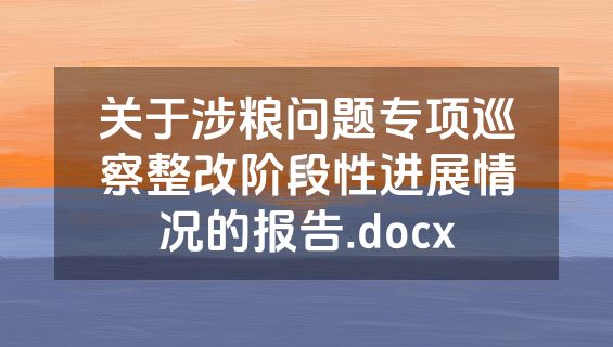 关于涉粮问题专项巡察整改阶段性进展情况的报告.docx