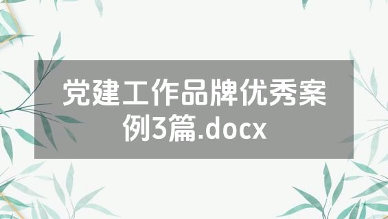 党建工作品牌优秀案例3篇.docx