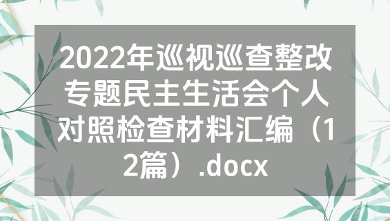 2022年巡视巡查整改专题民主生活会个人对照检查材料汇编（12篇）.docx