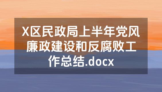 X区民政局上半年党风廉政建设和反腐败工作总结.docx