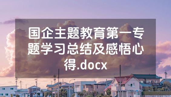 国企主题教育第一专题学习总结及感悟心得.docx