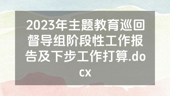 2023年主题教育巡回督导组阶段性工作报告及下步工作打算.docx