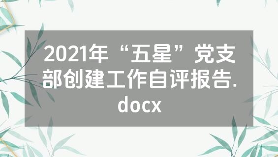 2021年“五星”党支部创建工作自评报告.docx