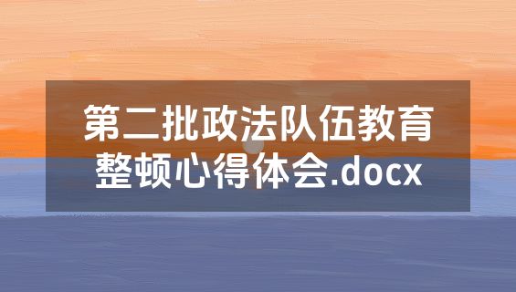 第二批政法队伍教育整顿心得体会.docx