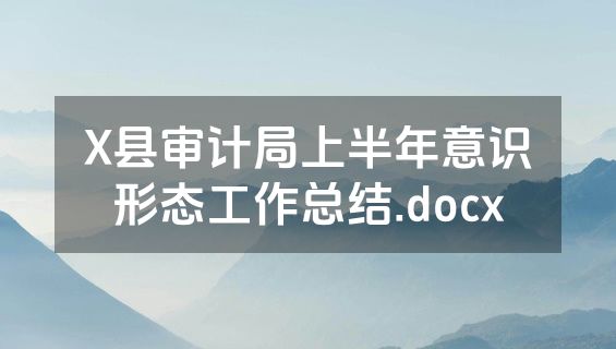 X县审计局上半年意识形态工作总结.docx