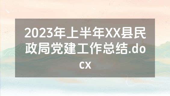 2023年上半年XX县民政局党建工作总结.docx