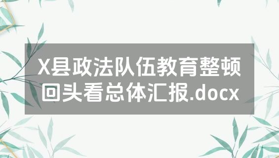 X县政法队伍教育整顿回头看总体汇报.docx
