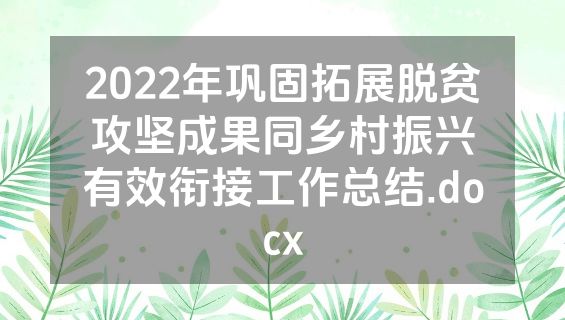 2022年巩固拓展脱贫攻坚成果同乡村振兴有效衔接工作总结.docx
