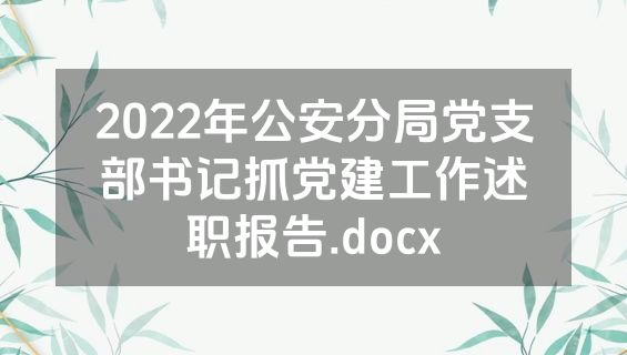 2022年公安分局党支部书记抓党建工作述职报告.docx