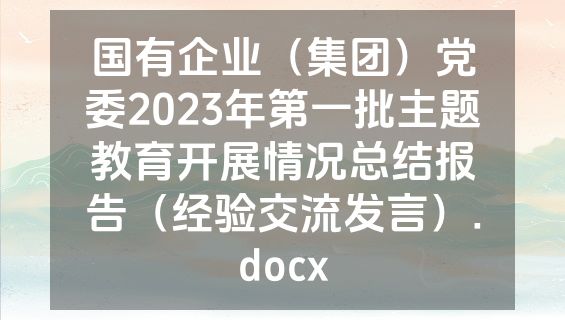 国有企业（集团）党委2023年第一批主题教育开展情况总结报告（经验交流发言）.docx