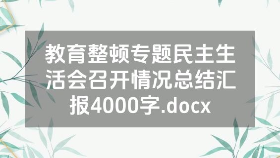 教育整顿专题民主生活会召开情况总结汇报4000字.docx