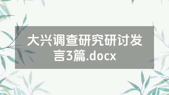 大兴调查研究研讨发言3篇.docx