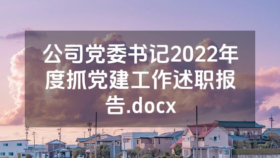 公司党委书记2022年度抓党建工作述职报告.docx